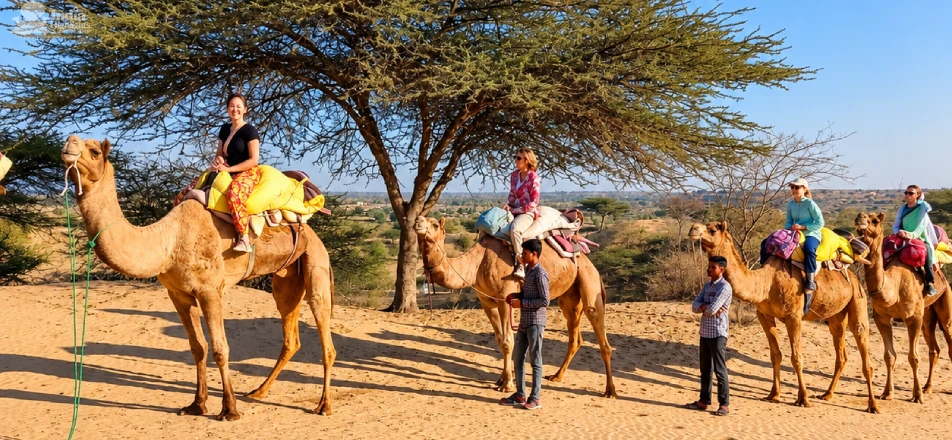 Camel Safari in Jaisalmer