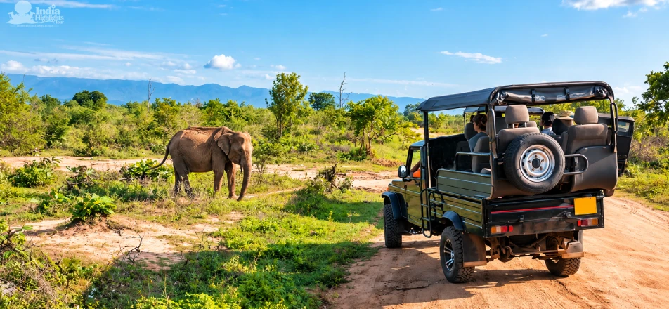 Ranthambore National Park